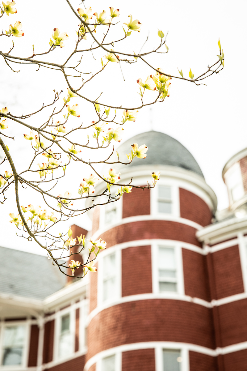 Main Hall tower in spring